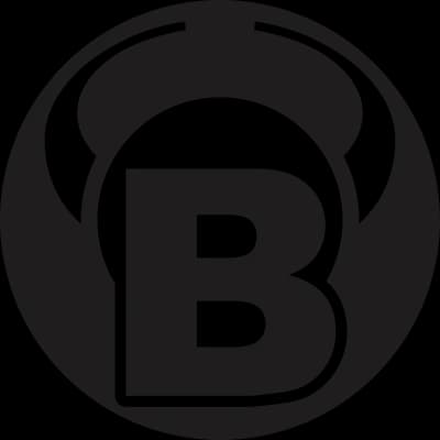 Bull's Germany Dartboards